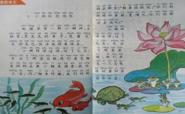 教师个人教学计划优秀5篇