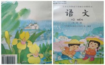 教师个人教学总结范文优质8篇