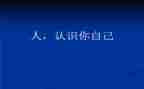 认识4小班教案推荐5篇
