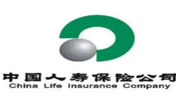 人寿保险公司年终总结6篇