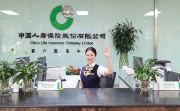 2023年人寿保险公司年终总结7篇