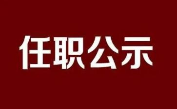 任职述职报告6篇
