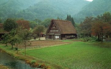 日本旅游心得体会6篇