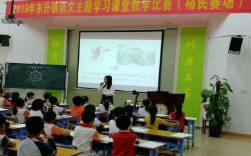 赛课活动总结7篇