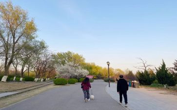 《美学散步》读后感6篇