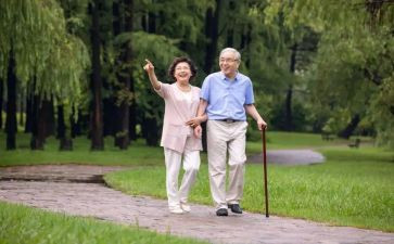 散步莫读后感推荐8篇