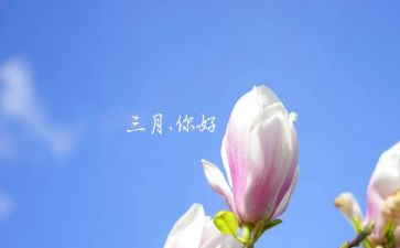 三月份中班月计划5篇