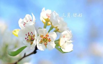 幼儿大班三月份工作总结5篇