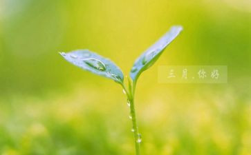 幼儿园中班三月份工作计划5篇