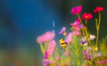 大班三月工作总结推荐6篇