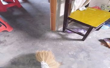 扫除作文600字7篇