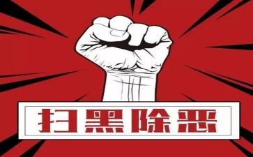 村扫黑除恶年度工作总结7篇