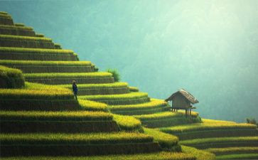 扫墓后心得体会最新5篇