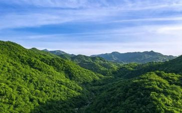 《唐山大地震》的观后感300字7篇