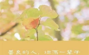 慈善站申请书7篇