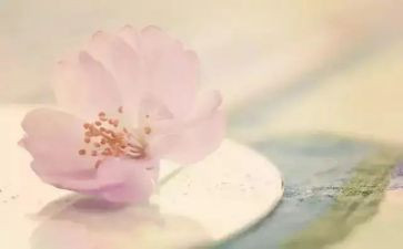 《善良》作文模板8篇