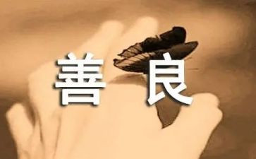 营养改善计划自查报告8篇