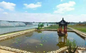 参观庵上湖心得体会优质5篇