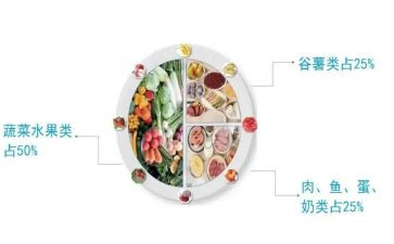 幼儿园工作膳食工作计划8篇