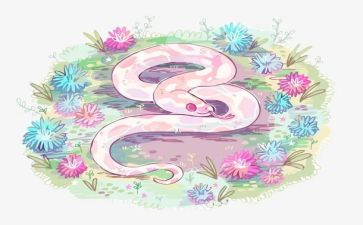 蛇和鹰的读后感优秀8篇