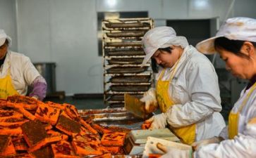 生产工作报告年度总结5篇