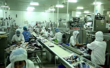 生产调查报告5篇
