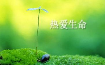 谨防溺水珍爱生命心得体会7篇