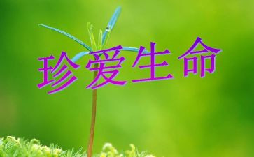 论生命读后感参考5篇
