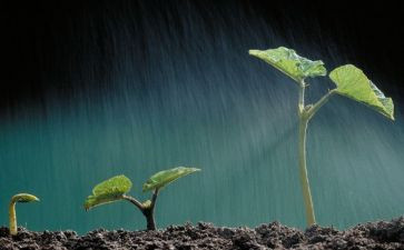 课文《生命》读后感7篇