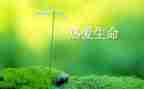 生命的价值600字作文7篇