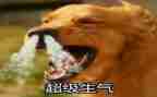 我生气了作文400字优秀作文参考7篇