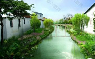 生态缸心得体会5篇