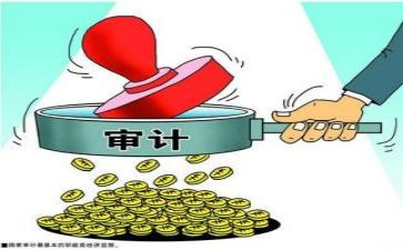 审计的心得体会范文6篇