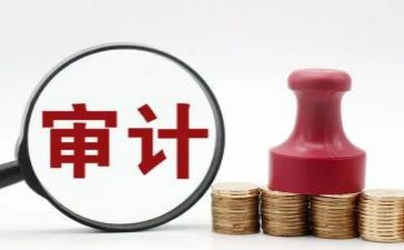 年度审计工作总结报告6篇