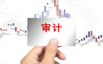 审计下年度工作计划6篇