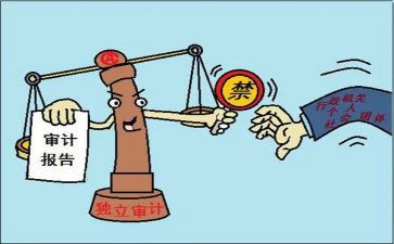 审计的调查报告7篇