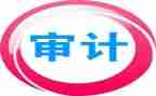 厅审计工作计划7篇