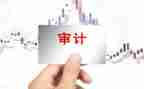 审计下年度工作计划6篇