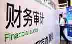 财务做审计工作报告6篇