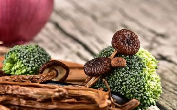 食堂食材合同5篇