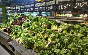 醋的市场调查报告5篇