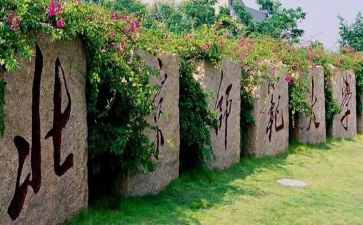 幼儿教师大班个人总结8篇