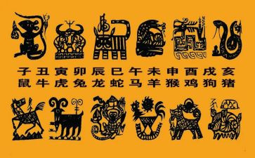 中班十二生肖的教案5篇