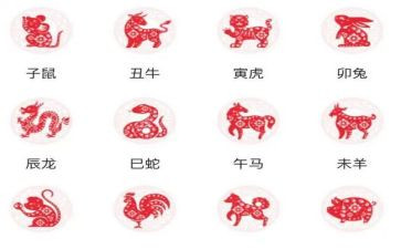 幼儿园十二生肖教案5篇