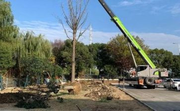 施工半年度总结报告5篇