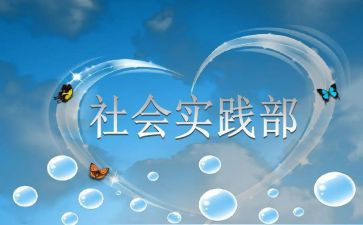 学生实践部的工作总结8篇