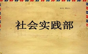 校实践部工作总结7篇