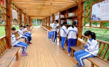 综合实践活动培训心得8篇