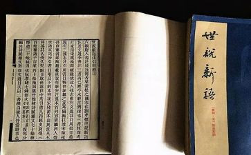 世说新语读后感读后感最新5篇