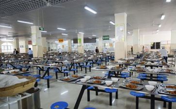 关于食堂的调查报告5篇